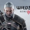 dziki-gon